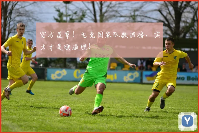 官方盖章!电竞国家队数据榜,实力才是硬道理!